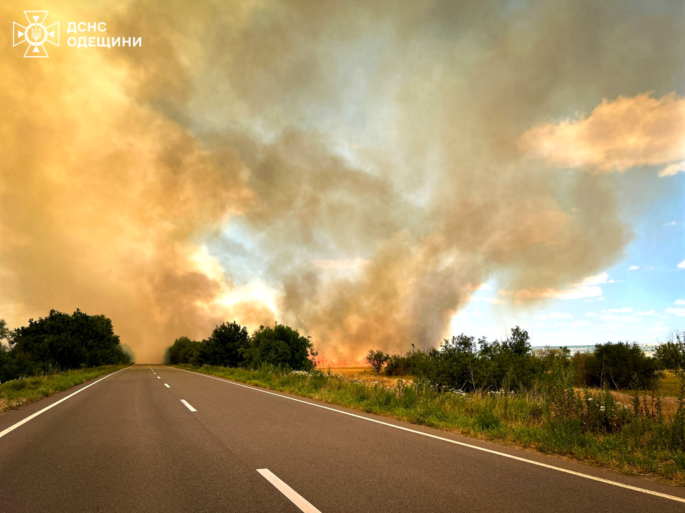 2410 image for slide