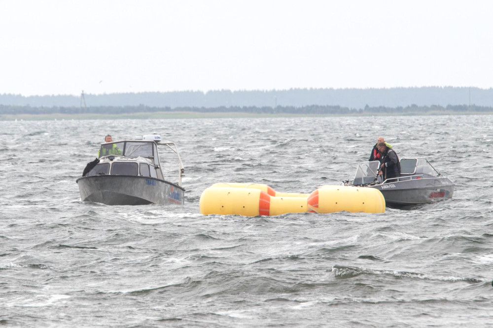 2556 image for slide