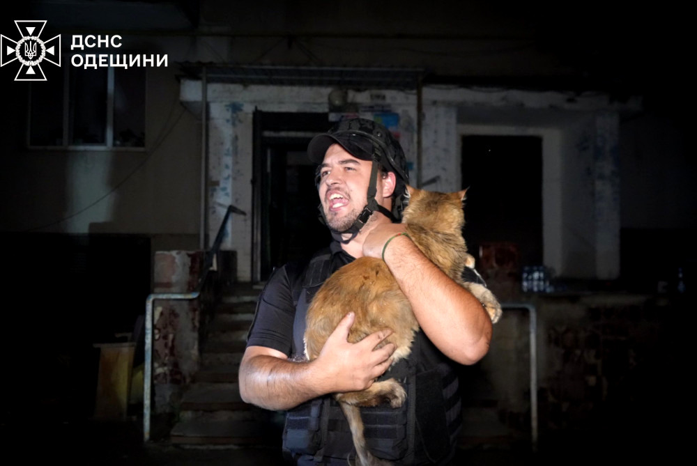 3110 image for slide