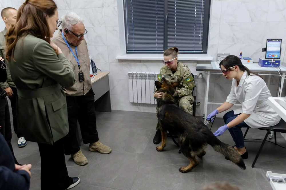 5365 image for slide