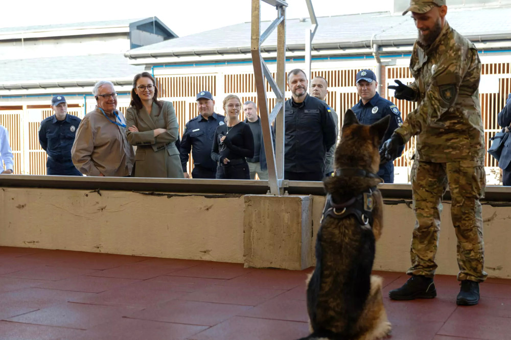 5366 image for slide