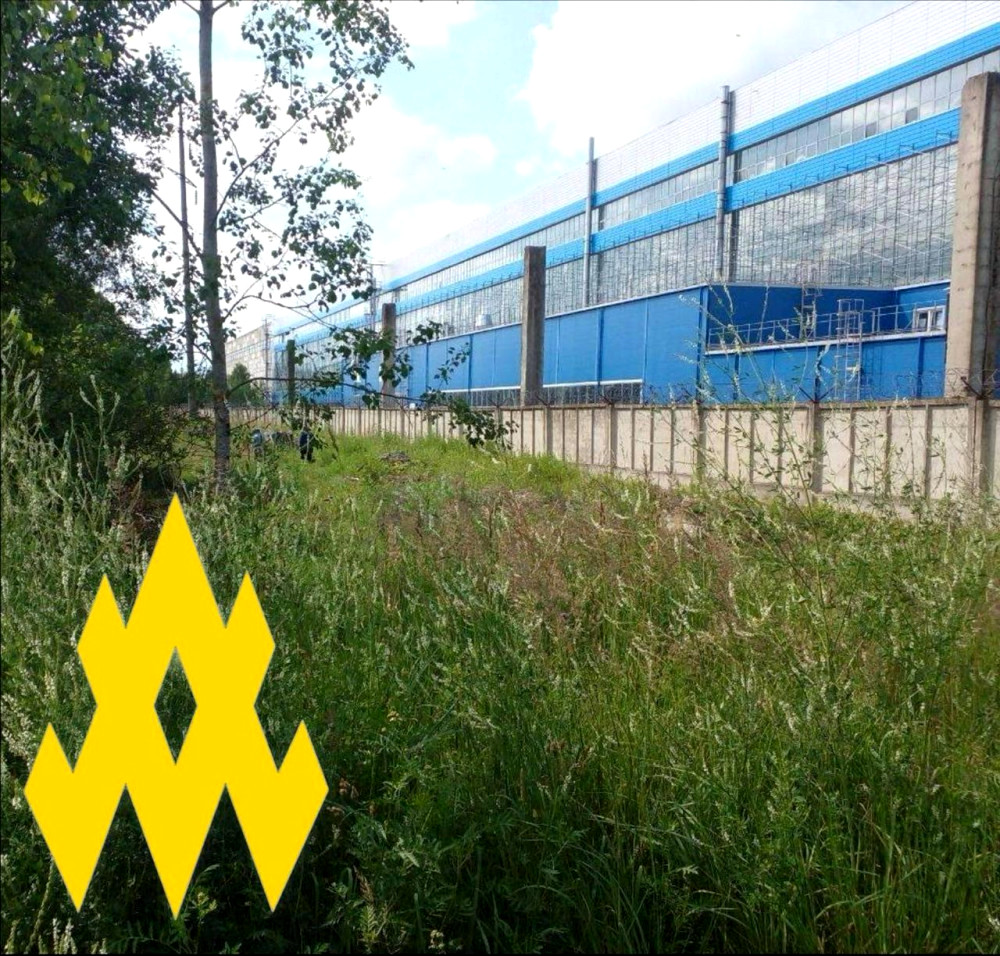 5476 image for slide