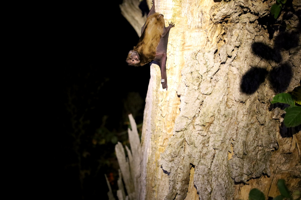 5647 image for slide