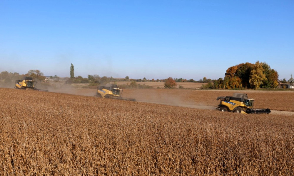 7987 image for slide