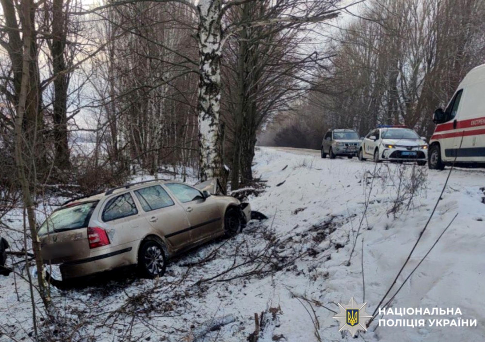 8665 image for slide